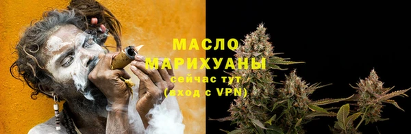 хмурый Верея