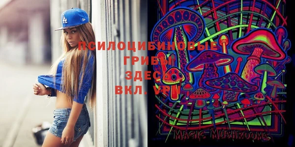 ECSTASY Волосово
