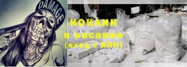 хмурый Верея