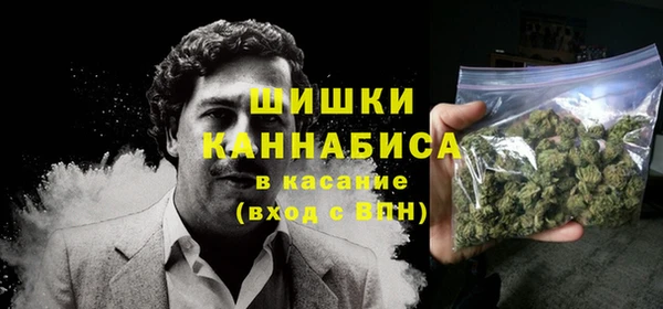 хмурый Верея