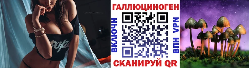 Галлюциногенные грибы Cubensis  дарнет шоп  KRAKEN зеркало  Волхов 