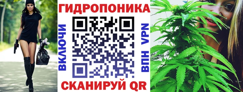 сколько стоит  Волхов  omg как войти  Каннабис планчик 